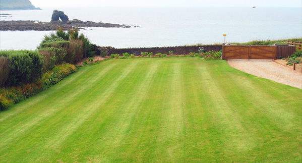 Torbay Turf